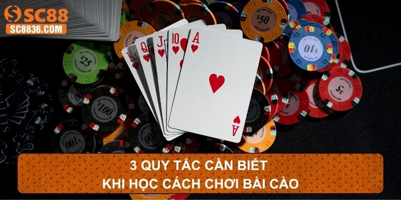 3 quy tắc cần biết khi học cách chơi bài cào