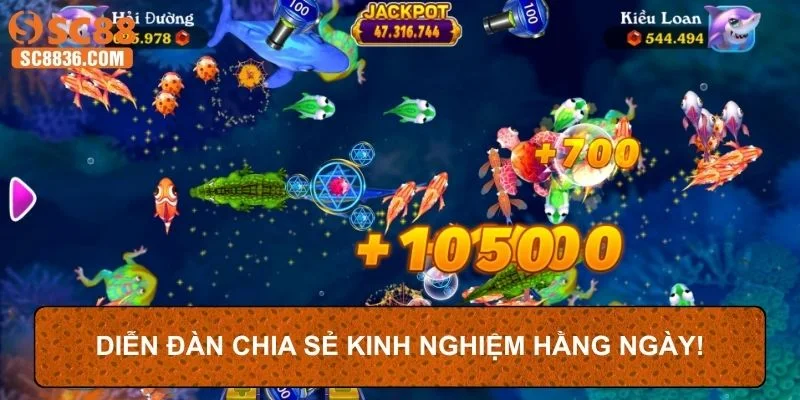 Diễn đàn chia sẻ kinh nghiệm hằng ngày