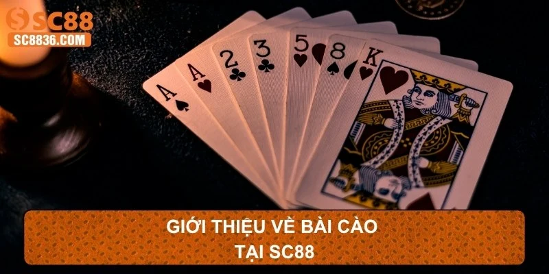 Giới thiệu về bài cào tại SC88
