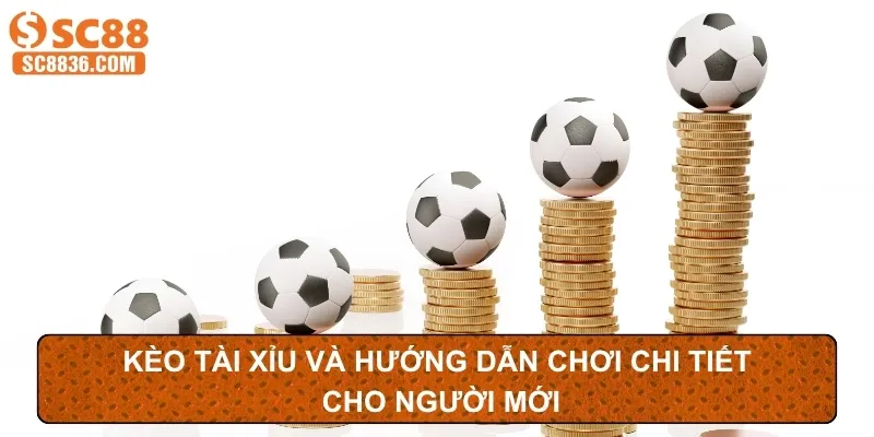 Kèo tài xỉu và hướng dẫn chơi chi tiết cho người mới