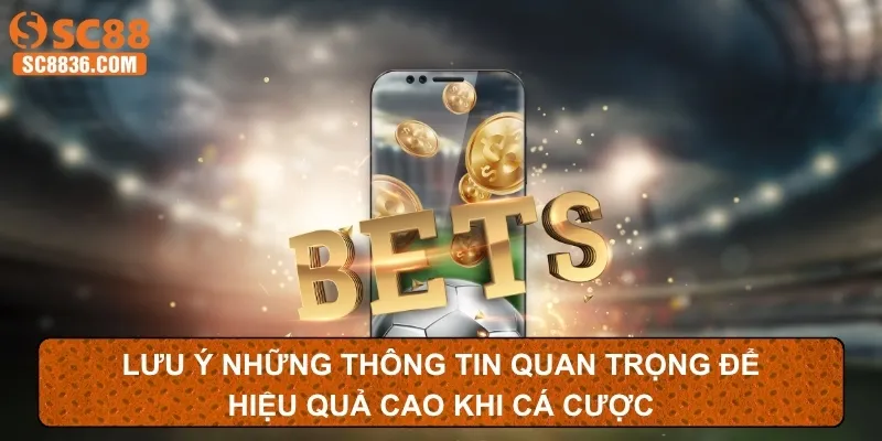 Lưu ý những thông tin quan trọng để hiệu quả cao khi cá cược
