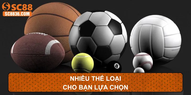 Nhiều thể loại cho bạn lựa chọn