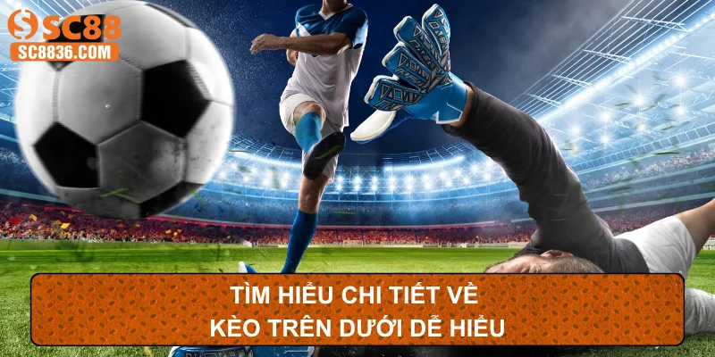 Tìm hiểu chi tiết về kèo trên dưới dễ hiểu