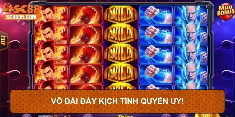 Võ đài đầy kịch tính quyền uy